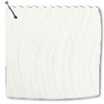 Senna White